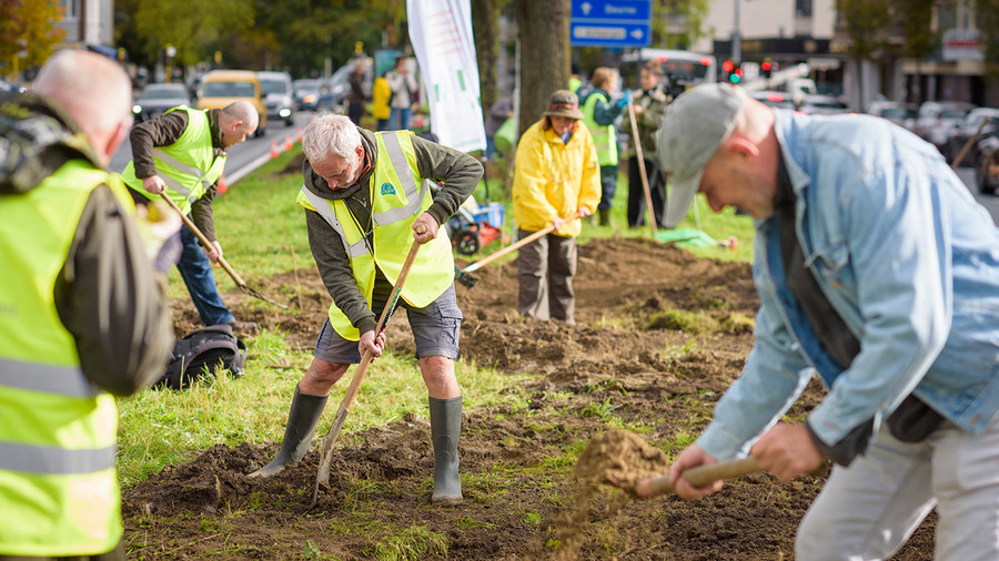 Bloembollen planten samen met buren op de middenberm